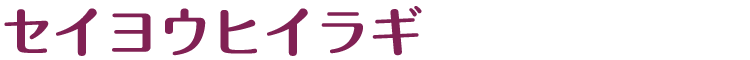 セイヨウヒイラギ