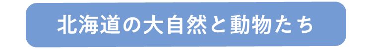 北海道の大自然と動物たち